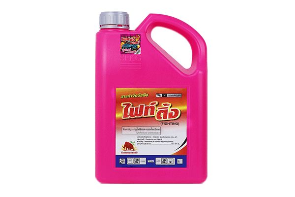 สินค้าใหม่